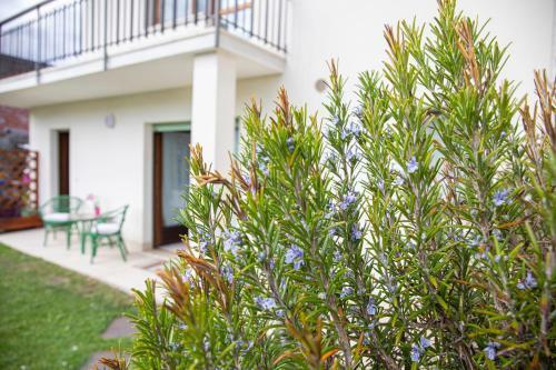 Apartamento Borgo Antico