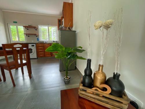 Anv Holiday Apartments