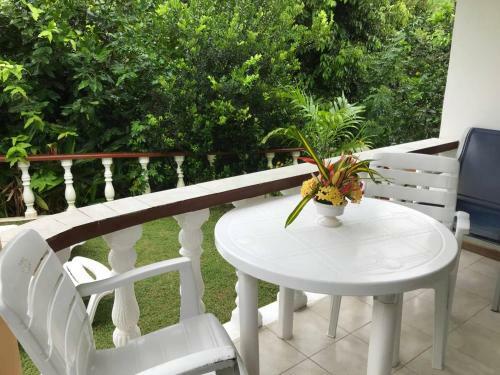 Tropical Garden Self Catering