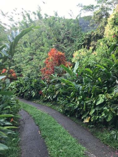 Tropical Garden Self Catering