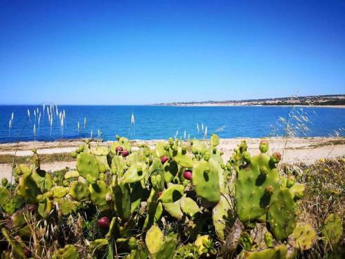Apartamento La Dimora Di Rosalba