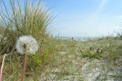 Feriecenter & Vandland �ster Hurup