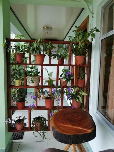 Hotel Fas B & B