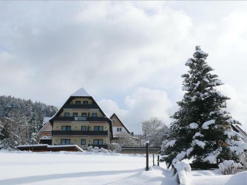 Hostal Hotel Pension Sonnenstube