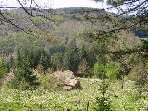Apartamento Casale Camalda