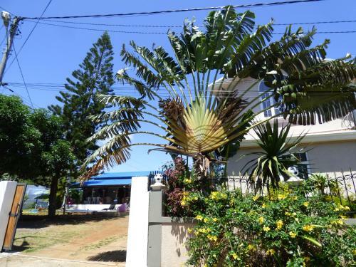 Bed & Breakfast Cazhibiscus
