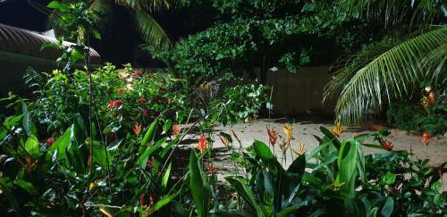 Lush Garden Villa House 2