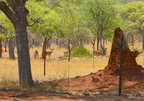 Lodge Matunda G�stefarm