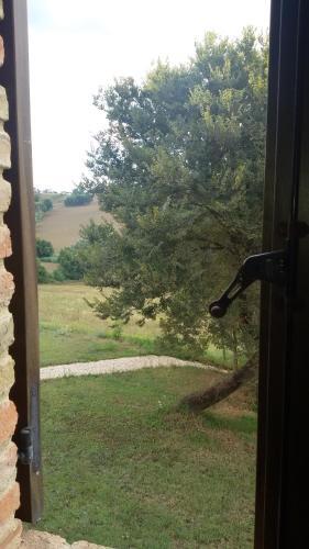 Apartamento Tenuta Tredici Ulivi