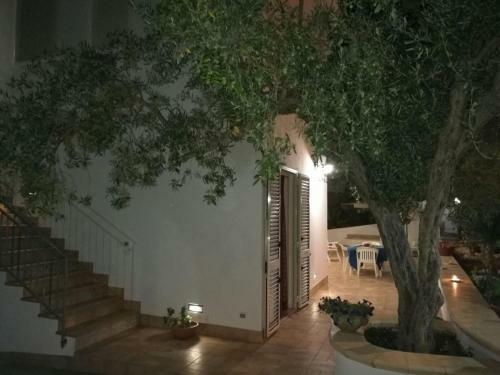 Apartamento Timpi Russi - La Palma