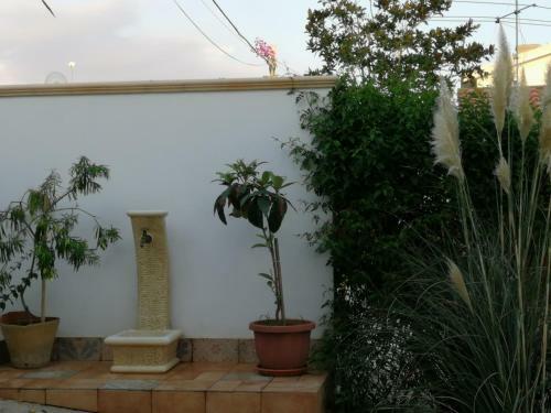 Apartamento Timpi Russi - La Palma