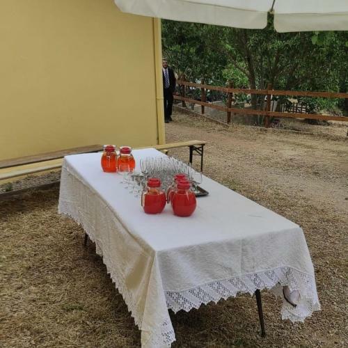 Agroturismo Agriturismo S'armidda