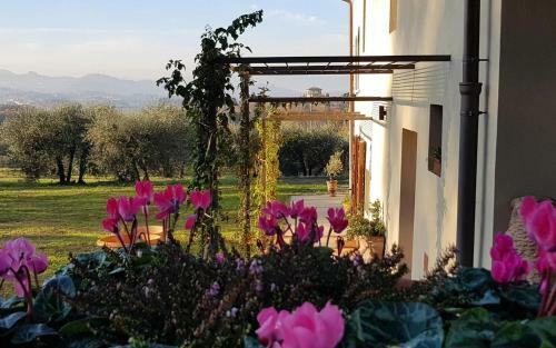 Apartamento Podere Agli Arrighi