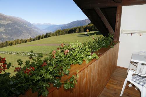 Agroturismo Bauernhof Mairing