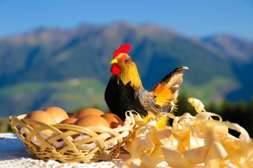 Agroturismo Bauernhof Mairing
