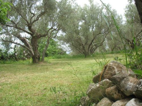 Agroturismo Villa Wanda
