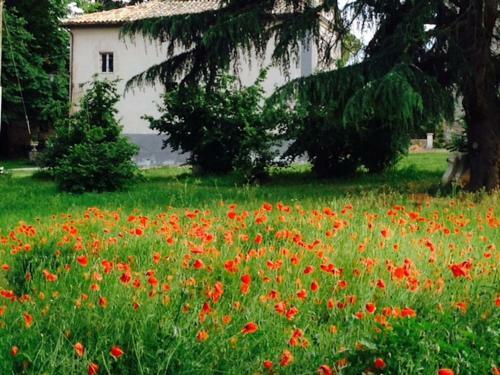 Apartamento Appartamenti Lais In Sipicciano