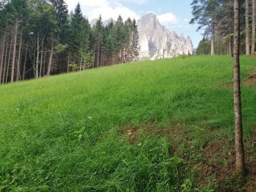 Baita Pra Petina Pale Di San Martino