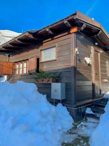 Cozy Bungalow