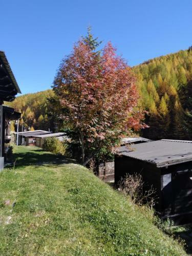 Campeggio Chisonetto