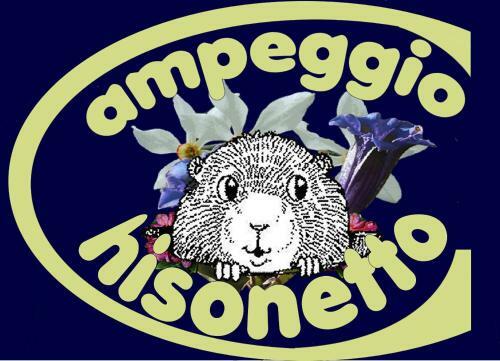 Campeggio Chisonetto