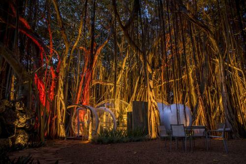 Bubble Lodge Ile Aux Cerfs Island