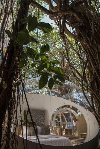 Bubble Lodge Ile Aux Cerfs Island