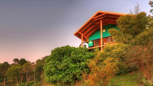 Bed & Breakfast Maleny Tropical Retreat