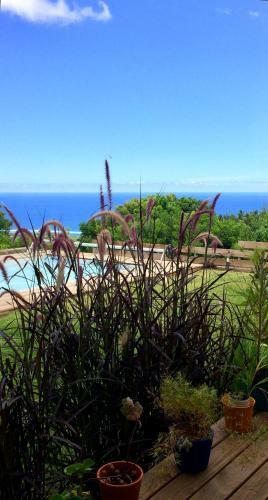 Villa Les Longanis_sublime Et Cosy_8 Pers
