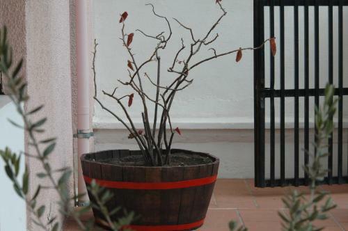 B&B La Terrazza