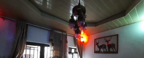 Royalty Homestay Ltd