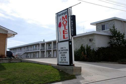 Flamingo Motel
