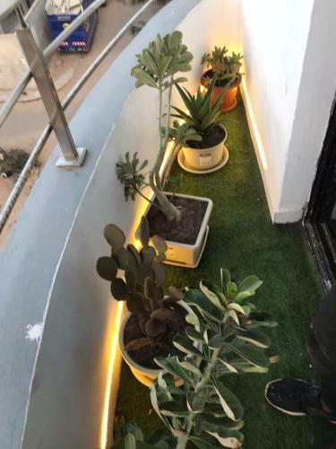 Apartamento Appart Lux