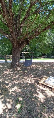 Maremma Country Chic