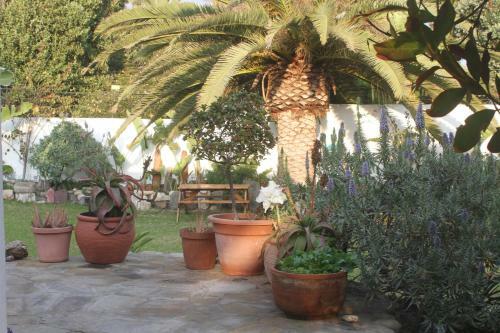 Apartamento Ocean Melody