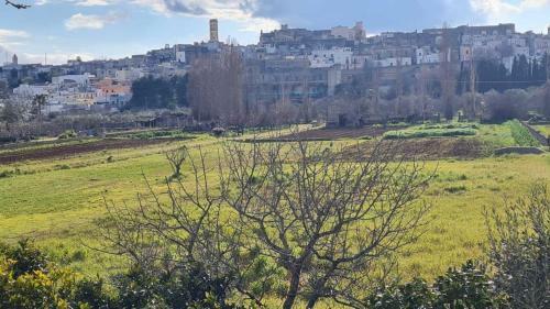 Apartamento Haus Mary Specchia