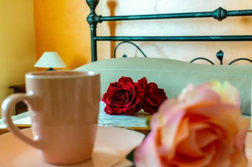 Bed & Breakfast La Casa Del Nonno