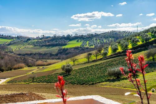 Bed & Breakfast La Casa Del Nonno