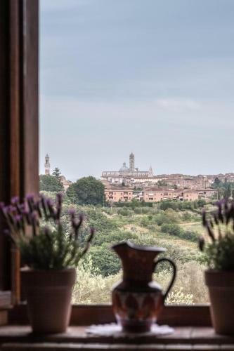 Le Case Del Conventino Di Marciano