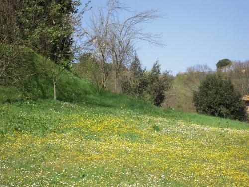 Agroturismo Villa Caprera