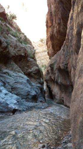 Agroturismo Dar Essalama Dades