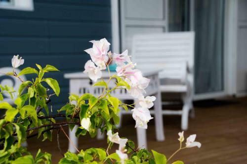 Chez Les Filles - Bungalodge