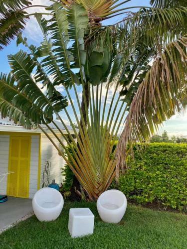 Bed & Breakfast Villa Belle Vue, Chambre Bambous