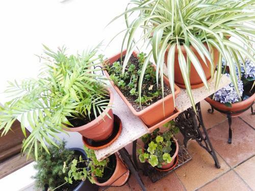 Bed & Breakfast Hostal La Ribera Del J�car