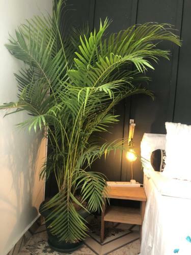 Lovely One Bedroom Apartment
