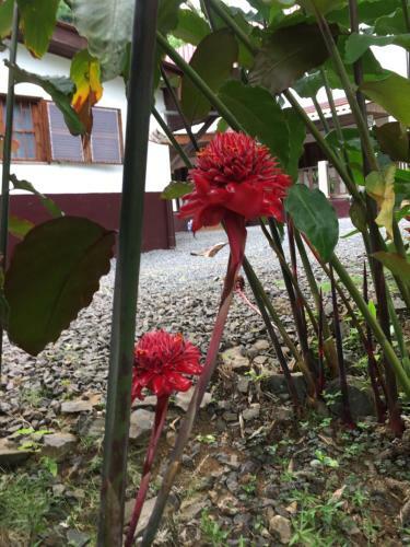 Hostal Mini-quinta Guesthouse