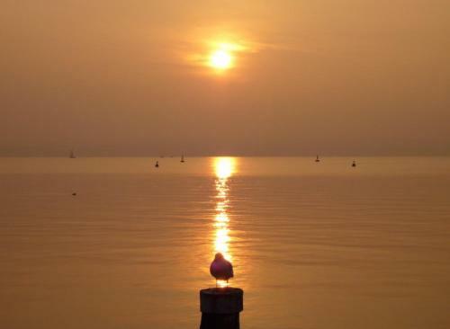 The Geko Apartment Sirmione