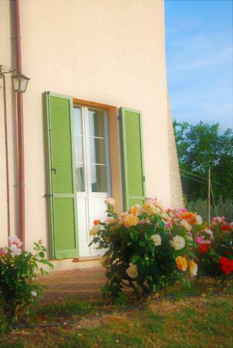 Apartamento Suite Matilde 1656