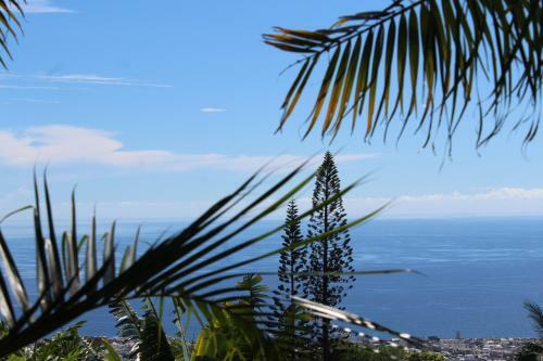 Hostal Escapade Bellepierre (l')