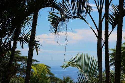 Hostal Escapade Bellepierre (l')